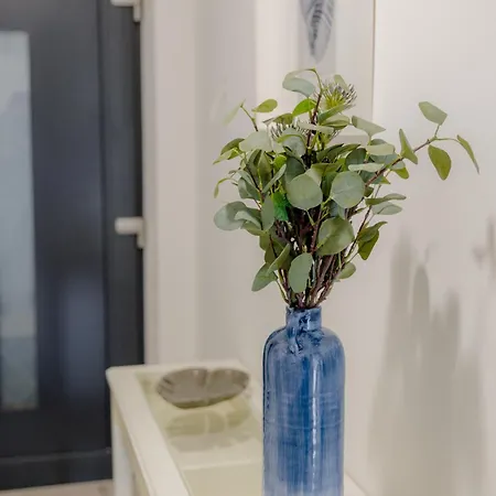 Casa Romana By Bltn *